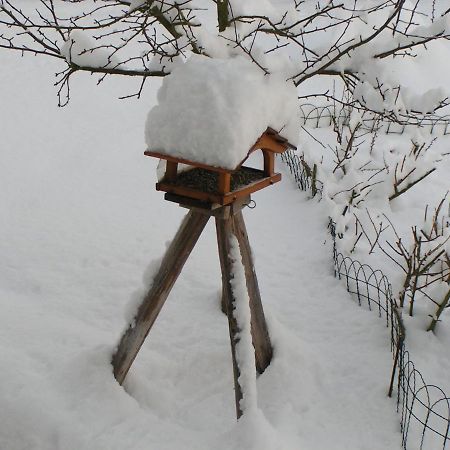 Fewo Talula - Sauerland Mit Hund Medebach Exteriér fotografie