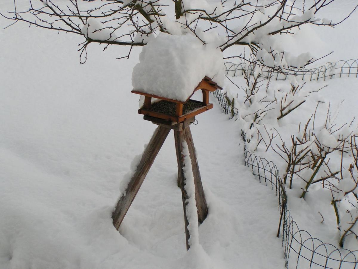 Apartmán Fewo Talula - Sauerland Mit Hund Medebach Exteriér fotografie