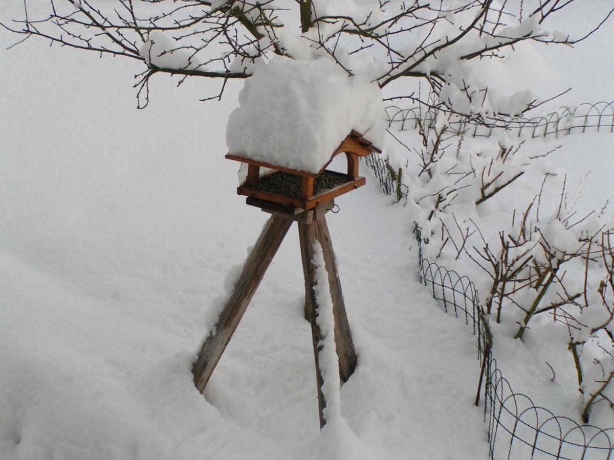 Fewo Talula - Sauerland Mit Hund Medebach Exteriér fotografie