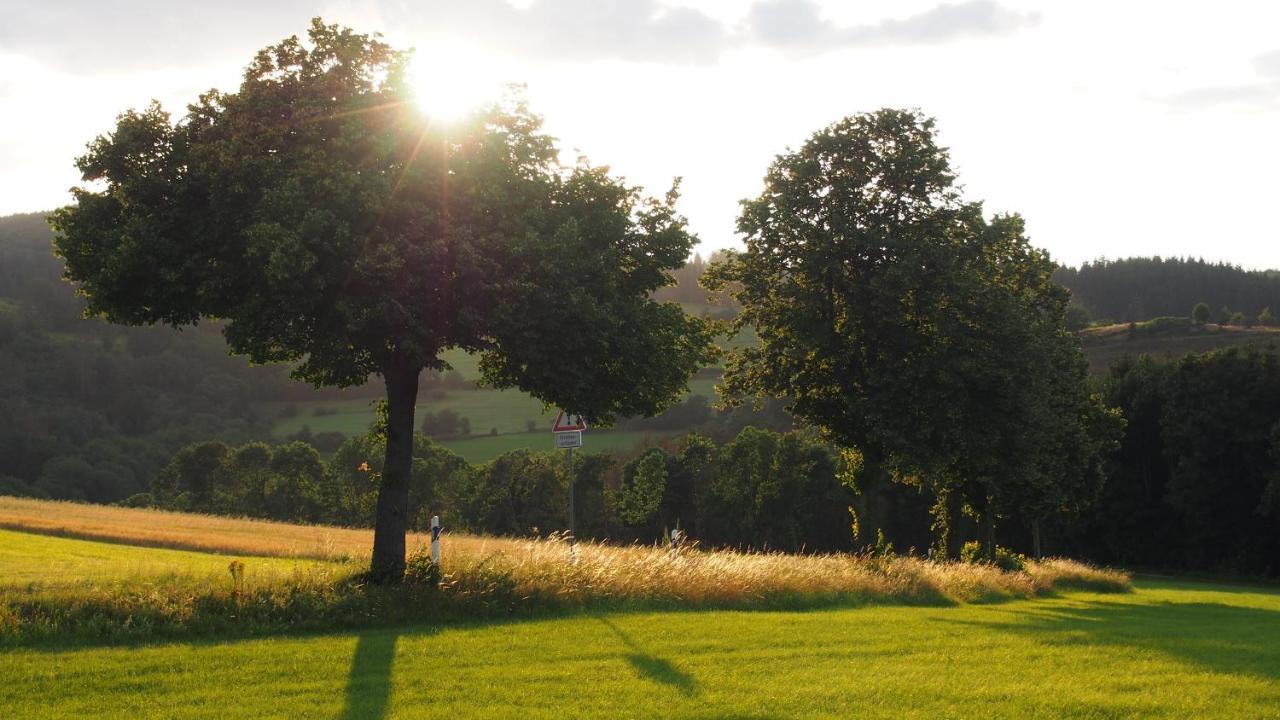 Fewo Talula - Sauerland Mit Hund Medebach Exteriér fotografie