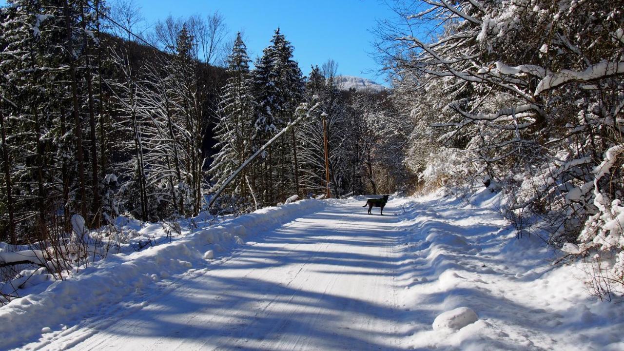 Fewo Talula - Sauerland Mit Hund Medebach Exteriér fotografie