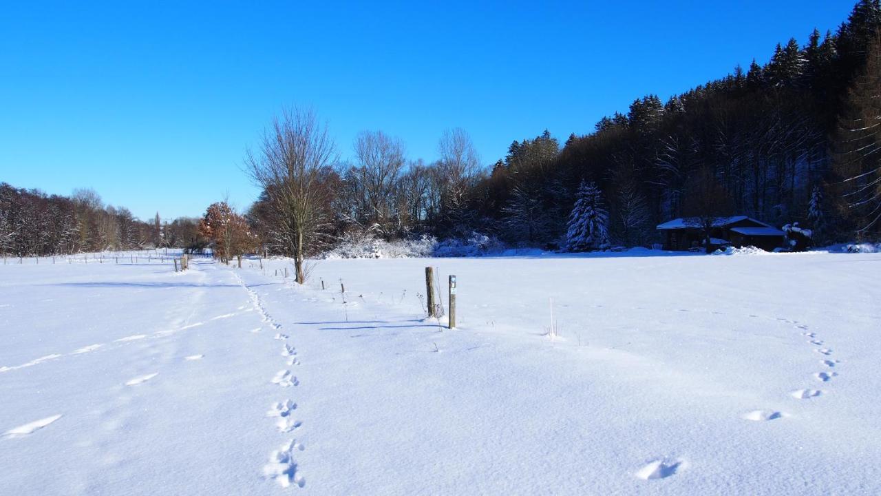 Fewo Talula - Sauerland Mit Hund Medebach Exteriér fotografie