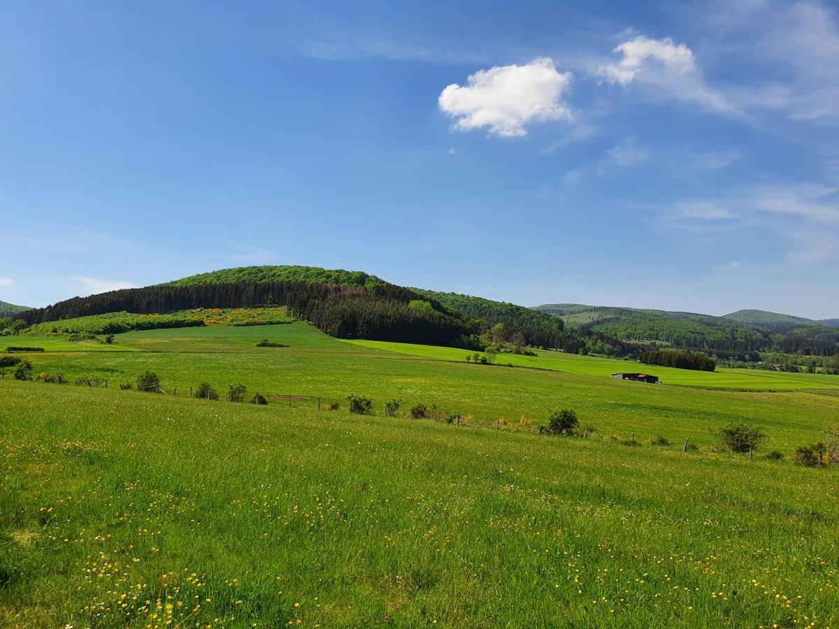 Apartmán Fewo Talula - Sauerland Mit Hund Medebach Exteriér fotografie