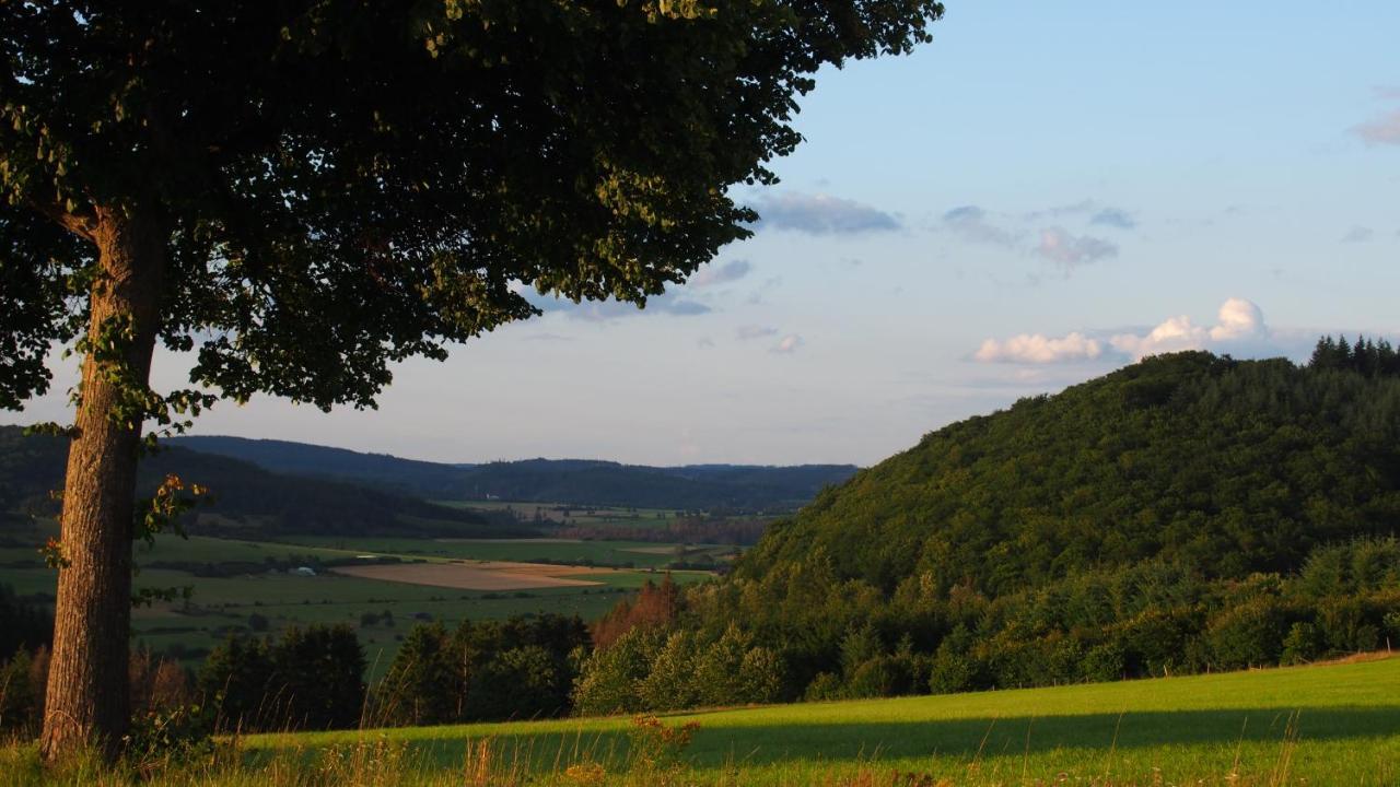 Fewo Talula - Sauerland Mit Hund Medebach Exteriér fotografie