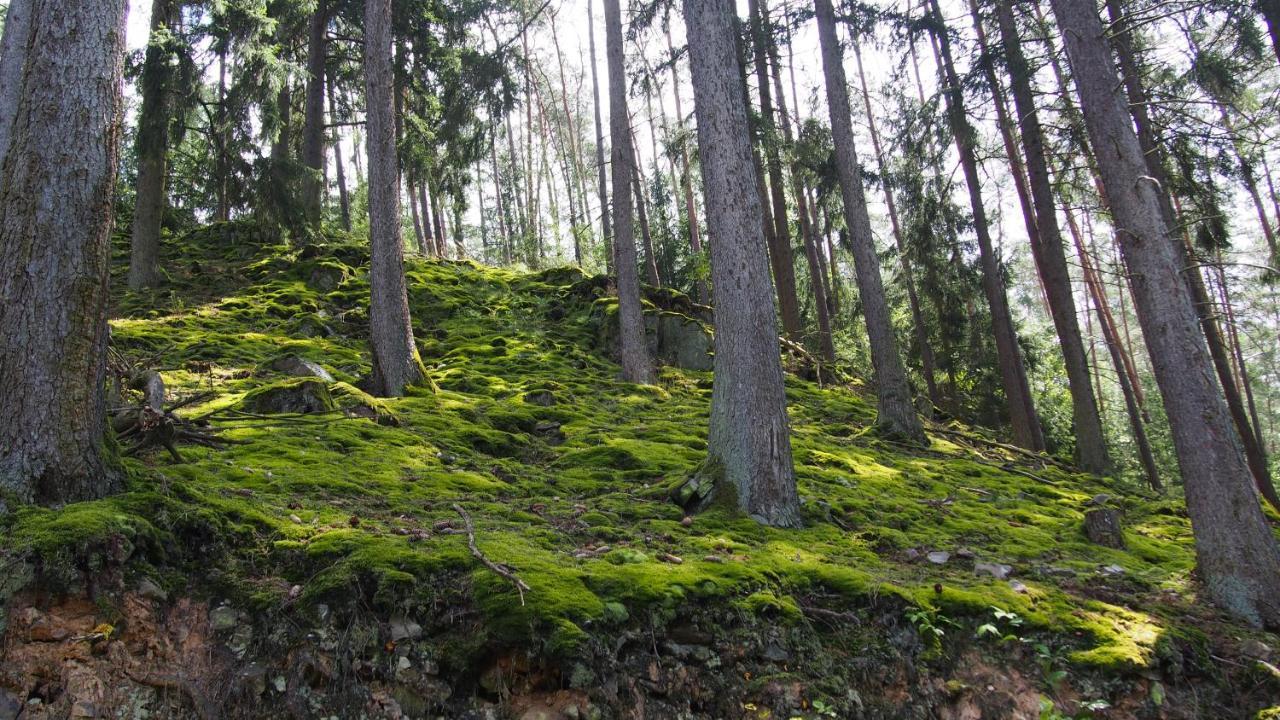 Apartmán Fewo Talula - Sauerland Mit Hund Medebach Exteriér fotografie