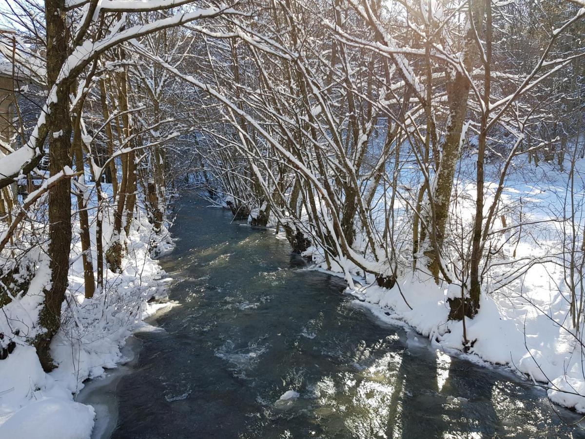 Apartmán Fewo Talula - Sauerland Mit Hund Medebach Exteriér fotografie