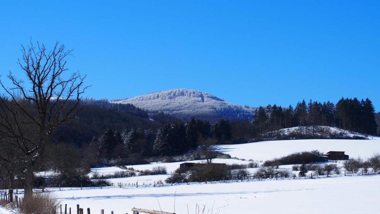 Fewo Talula - Sauerland Mit Hund Medebach Exteriér fotografie