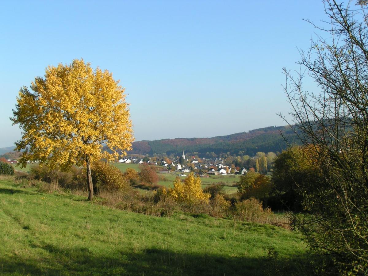 Apartmán Fewo Talula - Sauerland Mit Hund Medebach Exteriér fotografie