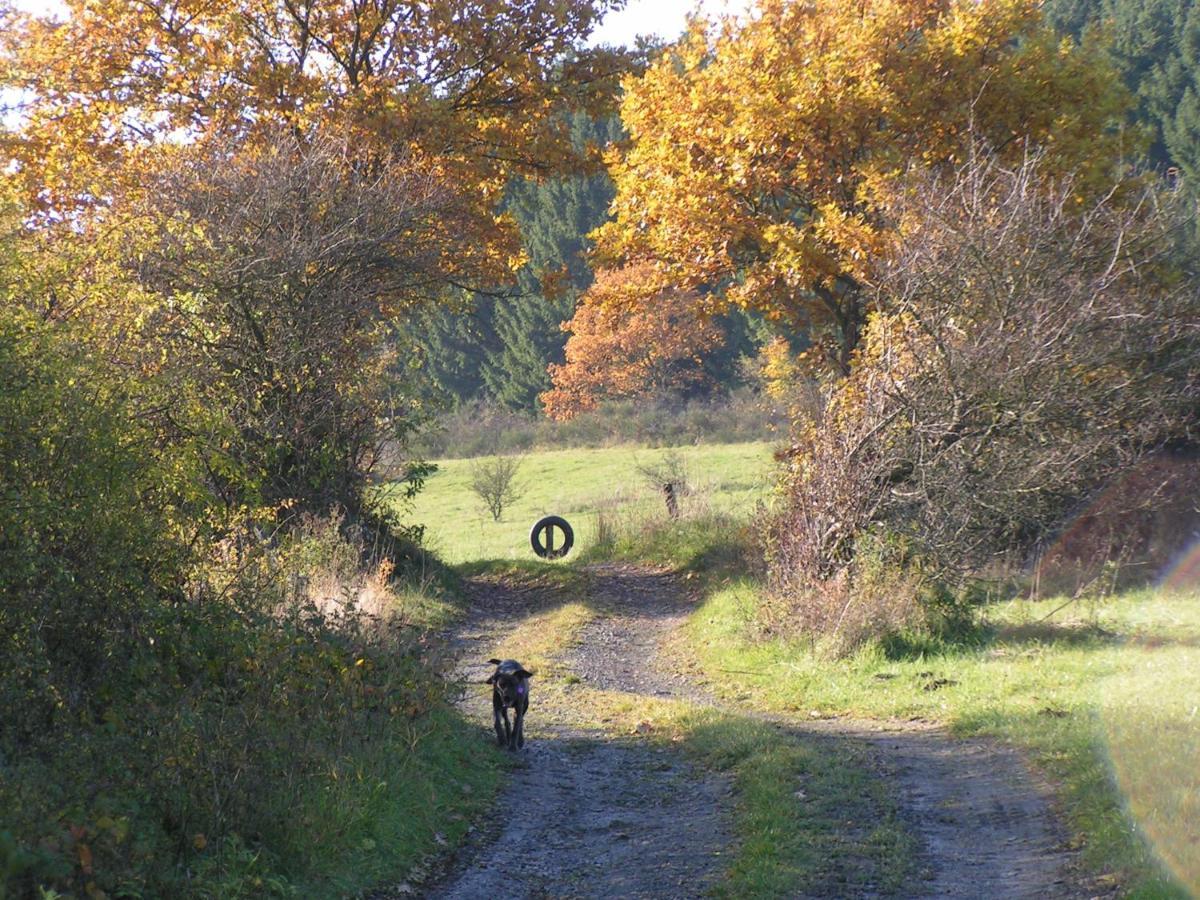 Apartmán Fewo Talula - Sauerland Mit Hund Medebach Exteriér fotografie